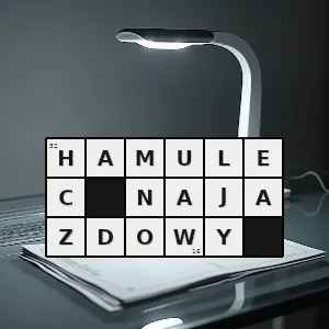 Hasło krzyżówkowe hamulec w którym wykorzystuje się siłę powstającą między pojazdem a przyczepą pod wpływem najeżdżania przyczepy na hamujący pojazd - hamulec najazdowy – rozwiązanie, synonimy, podpowiedzi i definicje krzyżówkowe